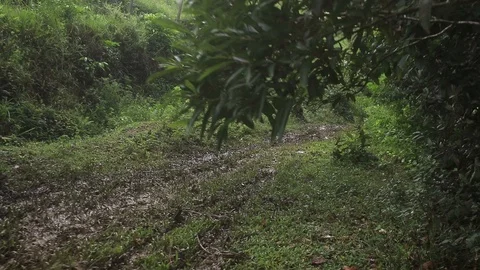 A rider on a trail with a lot of mud Stock Footage 89720237