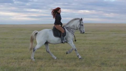 Rider on a white horse. Stock Footage 123797489