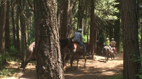 Riders 1 Stock Footage 479158