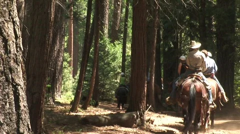 Riders 2 Stock-Footage 479152