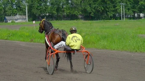 Riders are preparing for competition on horseback trotters. Stock Footage
