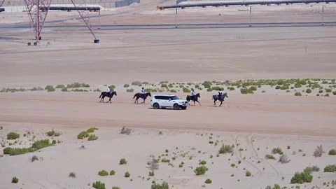 Riders compete in an ongoing endurance horse race at Al Wathba Endurance Stock Footage 331697329