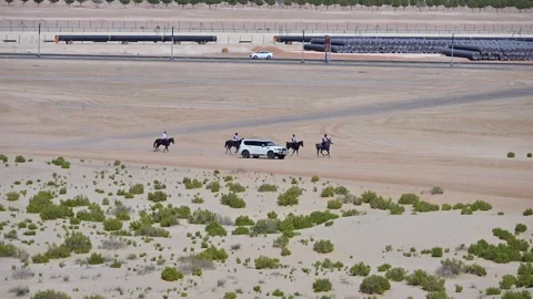 Riders compete in an ongoing endurance horse race at Al Wathba Endurance Stock Footage 331697538