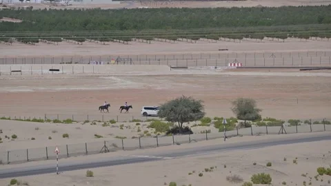 Riders compete in an ongoing endurance horse race at Al Wathba Endurance Stock Footage 331697614