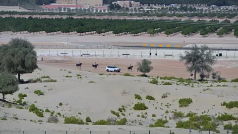 Riders compete in an ongoing endurance horse race at Al Wathba Endurance Stock Footage 331699114