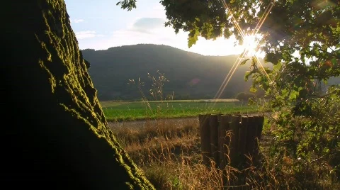 Riders at the edge of the forest Stock Footage 520845
