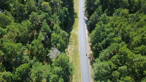 Riders on a forest road Stock Footage 101485566