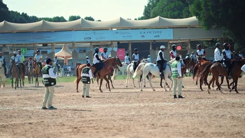 Riders guide their horses through the challenging endurance race in Abu Dhabi Stock Footage 336753405