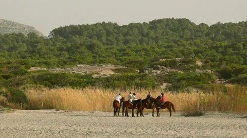 Riders having a brake on the beach Stock Footage 35274847