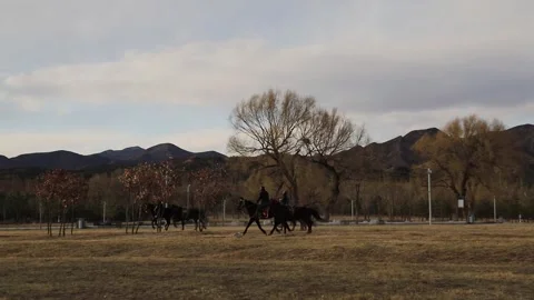 Riders on Horses Galloping Through Rural Mountain Landscape, Slow Motion Stock Footage 332217080