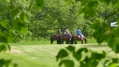 Riders on horses pause in a leafy park, framed by leaves, Djurgården Stock Footage 320744424