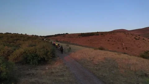 The riders pass through the field 11 Stock Footage 331535322
