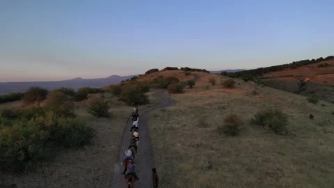 The riders pass through the field 12 스톡 동영상 331535314