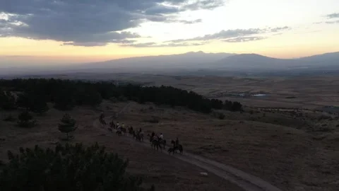 The riders pass through the field 18 Stock Footage 331535369