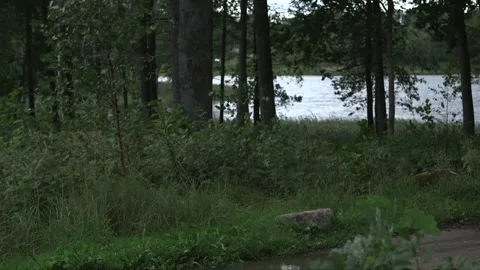 Riders ride through the frame. Forest and lake in the background. Stock Footage 237785888