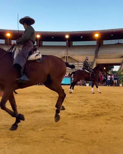 Riders show on San Miguel fair in Torremolinos, Spain Stock Footage 252149795