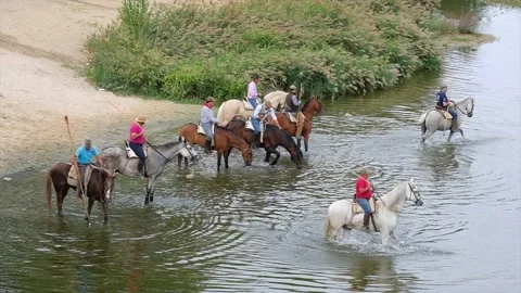 Riders with their horses refreshing themselves on the river bank Stock Footage 209221034
