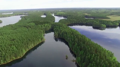 Ridge forest between several lakes in Finnish landscape. Aerial shot. Stock Footage 83653936