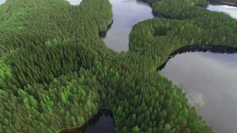 Ridge forest between several lakes in Finnish landscape. Aerial shot. Stock Footage 83663807