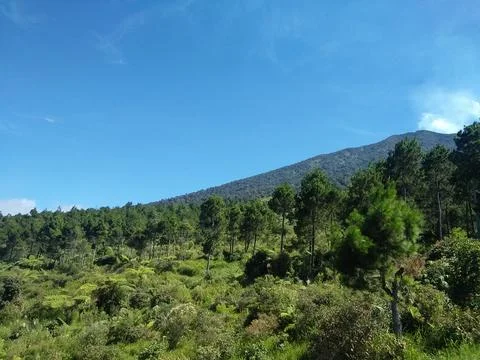 Ridge of Mount Slamet Foto stock