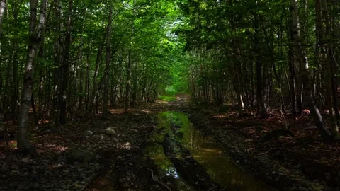 Ridge mud hole 6-25-26 Video stock 345450876