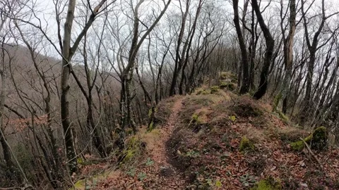 Ridge path on the mountain Stock Footage 268401041