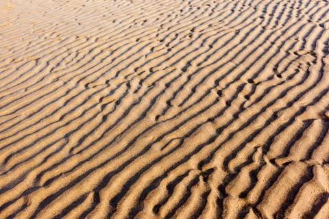 Ridges on a Sandy Beach Foto stock