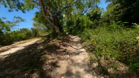 Riding Along Bike Trail Under Trees Stock Footage 201119085