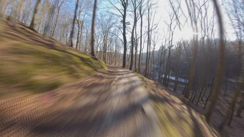 Riding Along Forest Path on Bicycle on Sunny Autumn Day Hyper Lapse POV Video stock 125455760