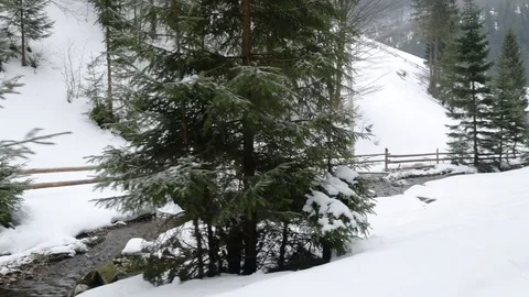 Riding along the river. Stock Footage 73131478