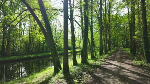 Riding Along a Tree Lined Canal in France in Summer Stock Footage 279867652
