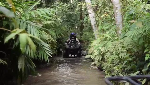 Riding ATV Stock Footage 311422976