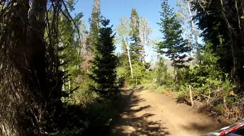 Riding ATV through pine aspen forest trail HD 013 Stock Footage 11982490
