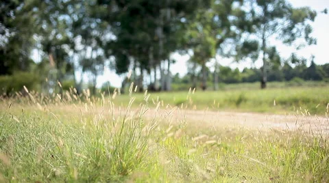 Riding bicycle along path through countryside Stock Footage 63291421