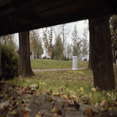 Riding a bicycle on a cloudy day. In and out of the frame.  Autumn. Low angle. Stock Footage 69322017
