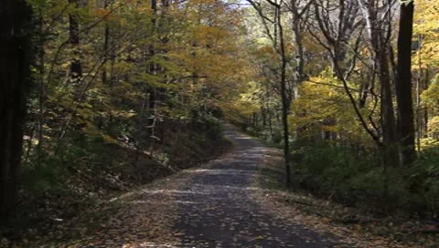 Riding Bicycle Vidéo 8962870