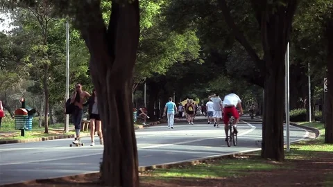 Riding a bicycle Stock Footage 73232173