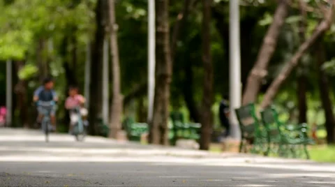 Riding bicycle in the park Stock Footage 51801752