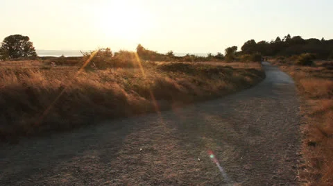Riding Bike Down Trail Stock Footage 26846818