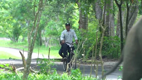 Riding a bike Stock Footage 287322080