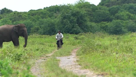 Riding a bike Stock Footage 287322275