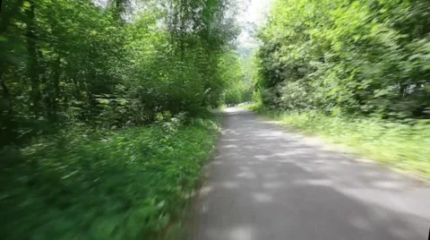 Riding on a bike in forest's path Stock Footage 49959675