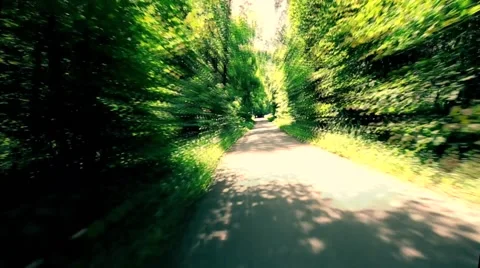 Riding on a bike in forest's path,artistic view of riding in forest Stock Footage 49972902