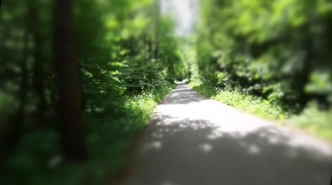 Riding on a bike in forest's path,artistic view of riding in forest Stock Footage 49974341