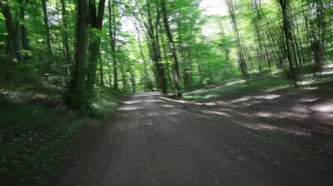 Riding on a bike in forest's path,artistic view of riding in forest Stock Footage 49974706