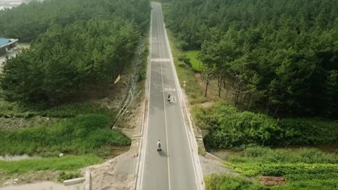 Riding bikes along a road through trees in South Korea. Stock Footage 146153397