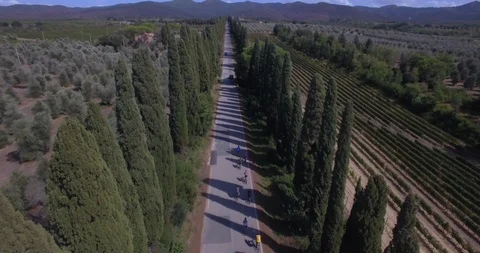 Riding bikes through Cypress trees in Tuscan fields in Tuscany Italy, Drone flyi Stock Footage 104178710