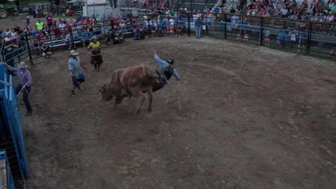 Riding a bull Stock Footage 143754413