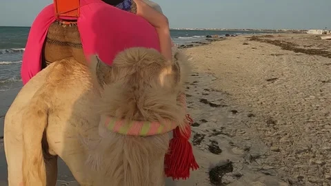 Riding camel on beach at sunset. first-person view Stock Footage 278926097