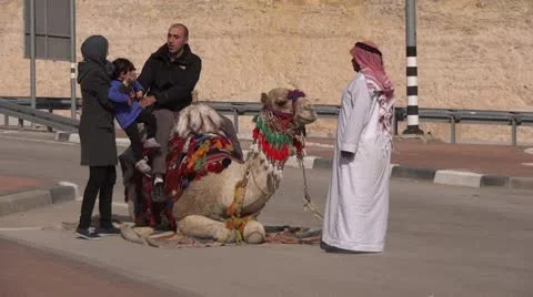 Riding camel Stock-Footage 14885310